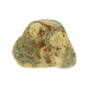 Bird's Eye Jasper Polished Pebble Specimen.   SP15718POL