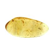 Copal (Young Amber) Fully Polished Specimen.   SP15984POL