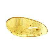 Copal (Young Amber) Fully Polished Specimen.   SP15984POL