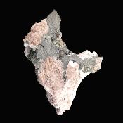 Catapleiite Raw Crystal Specimen.   SP17453