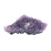 Raw Amethyst Druze Specimen.   SP17637