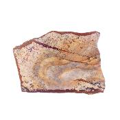 Landscape Jasper Polished Face Nodule Specimen.   SP17913POL