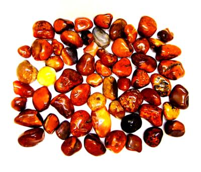 Carnelian Polished Tumble Stones (1Kg Bag Bulk Buy).   SPR15142WH