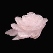 Rose Flower Carving In Rose Quartz.   SP16386SLF