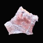 Goethite Raw crystal Specimen.   SP17340