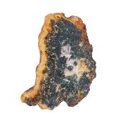 Iria Jasper Polished Face Nodule Specimen.   SP17472POL