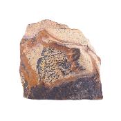 Landscape Jasper Polished Face Crystal Specimen.   SP17711POL