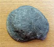 PYRITISED POLISHED FACE AMMONITE FOSSIL SPECIMEN. SP7867POL