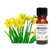 DILUTED ABSOLUTE - NARCISSUS 5% in Grapeseed. Narcissus Peticus in Vitis Vinifera.   SPR11505