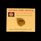 Natural Ruby Crystal Specimens.   SPR15221