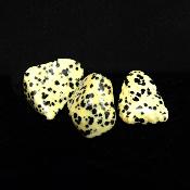 Dalmation Jasper Polished Tumble Stones.   SPR15786POL