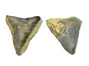 Septarian Sliced & Polished Face Nodule Pair.   SP15850POL