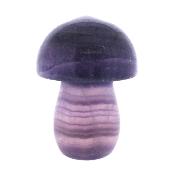 Carving Of A Mushroom In Purple Banded Fluorite.   SP16997POL 