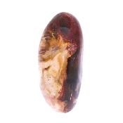 Petrified Wood Fully Polished Nodule Specimen.   SP17181POL