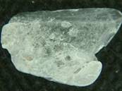 NIRVANA QUARTZ CRYSTAL SPECIMEN. 39 X 24 X 7MM APROX. 8g. SP762