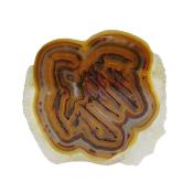 Agate Polished Geode Slice Specimen Coloured Tan.   SP15685POL