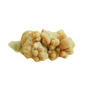 Aragonite (Cave Calcite) Raw Crystal Specimen.   SP15795