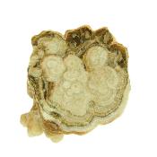 Aragonite (Cave Calcite) Raw Crystal Specimen.   SP15796