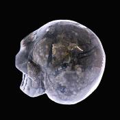 Carving Of A Skull In Volcanic Agate.   SP17219POL