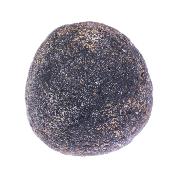 Agni Manitite (Tektite) Crystal Specimen.   SP17349