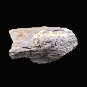 Andalusite With Chiastolite Raw Crystal Specimen.   SP17455