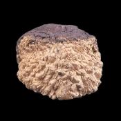 Olmiite Raw Crystal Specimen.   SP17456