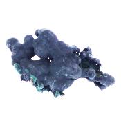 Malachite Fibrous Botryoidal Raw Crystal Specimen.   SP17833