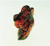 ANGEL CARVING IN BALTIC AMBER. SP5083