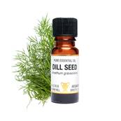 PURE ESSENTIAL OIL - DILL SEED, anethum graveolens. SPR8472