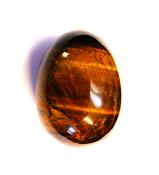 TIGERSEYE EGG.   SP120674POL