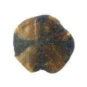 Chiastolite Cross Polished Face Crystal Specimen.   SP17724POL