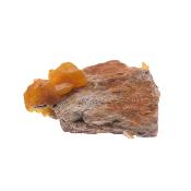 Wulfenite Raw Crystal Specimen.   SP17875