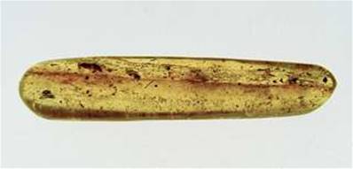 POLISHED MADAGASCAN COPAL SPECIMEN DISPLAYING INSECT INCLUSIONS. SP4131POL