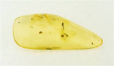 MADAGASCAN COPAL (YOUNG AMBER) POLISHED SPECIMEN. SP7555POL