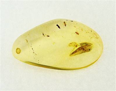 MADAGASCAN COPAL (YOUNG AMBER) POLISHED SPECIMEN. SP7556POL