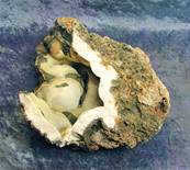 AGATE GEODE SECTION. SP7561
