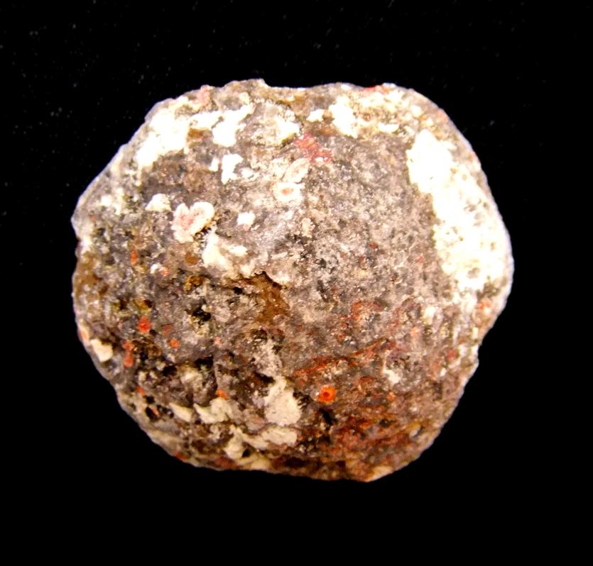 AGATE BROWN RIMMED GEODE SECTION. SP10655POL