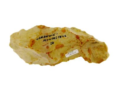 Neolithic Axe Head/ Scraping tool.   SP16484