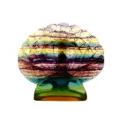 Carving Of A Peacock In Rainbow Fluorite.   SP16841POL