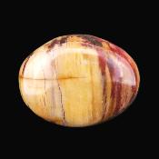 Petrified Wood Polished Pebble/ Palm Stone.   SP17365POL