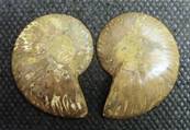 AMMONITE POLISHED FACE PAIR (MADAGASCAR). SP4105POL