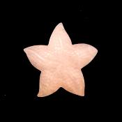 Starfish Carving in Rose Quartz.   SPR15235POL