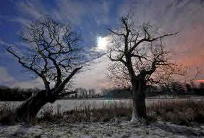 'Moonlight Kiss' A6 Art Print