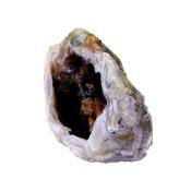 Agate / Chalcedony Geode Specimen.   SP15447POL