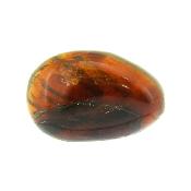 Sumatran Blue Amber Polished Specimen.   SP15815POL