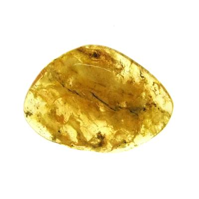 Copal (Young Amber) Fully Polished Specimen.   SP15985POL