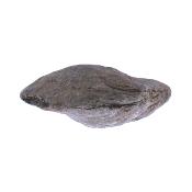 Anthophyllite (Asbestos) Raw Crystal Specimen.   SP17413