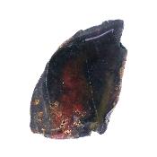 Iria Jasper Polished Face Nodule Specimen.   SP17470POL