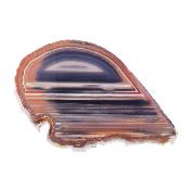 Agate Polished Front & Rear Face Slice Specimen in Grey & Brown Colouring.   SP17642POL