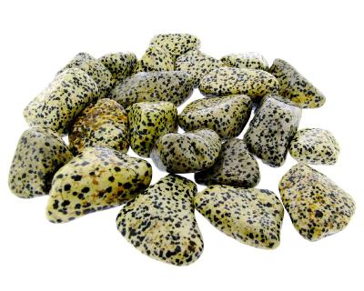 Dalmatian Jasper Polished Pebbles (1Kg Bulk Buy Bag).   SPR16582WHA